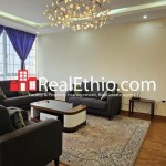 3BR furnished apartment for rent, Bole, Addis Ababa, Ethiopia.