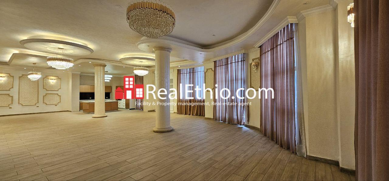 G+5+Terrace+Basement Apartment or Office Building for Rent, Bole Olompia, Addis Ababa.