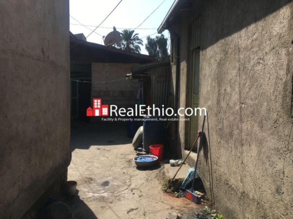 House or Land for sale, Paster, Addis Ababa.