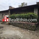 House or Office for Rent, Arat Kilo Ginfile, Addis Ababa.