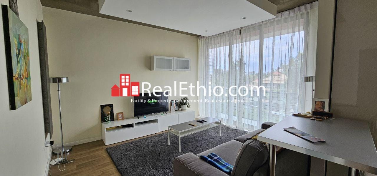 Furnished Serviced 1 Bedroom Apartment for Rent, Meskel Flower, Addis Ababa, Ethiopia.