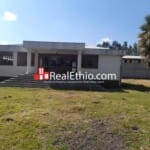 Land or store for Sale, Sululta, Oromia, Ethiopia.
