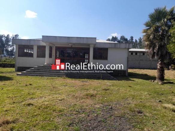 Land or store for Sale, Sululta, Oromia, Ethiopia.