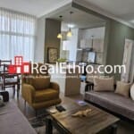One bedroom Fully Furnished Apartment for Rent, Bole Olympia, Addis Ababa, Ethiopia.