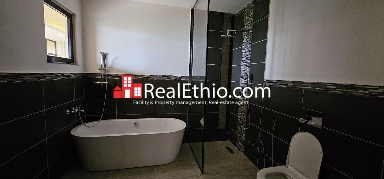 photo_1_2024-06-24_11-13-31