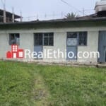 House or Land for Sale, Lancha, Addis Ababa, Ethiopia.