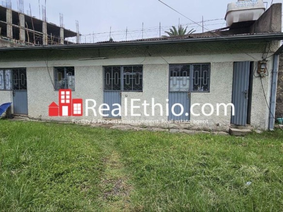 House or Land for Sale, Lancha, Addis Ababa, Ethiopia.