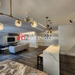 Bole, 2BD furnished apartment for rent, Addis Ababa.
