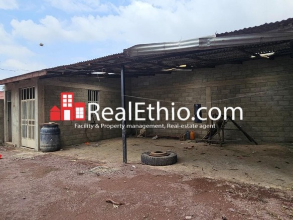 Store or office for rent, Megenagna Egziabher Ab, Addis Ababa, Ethiopia.