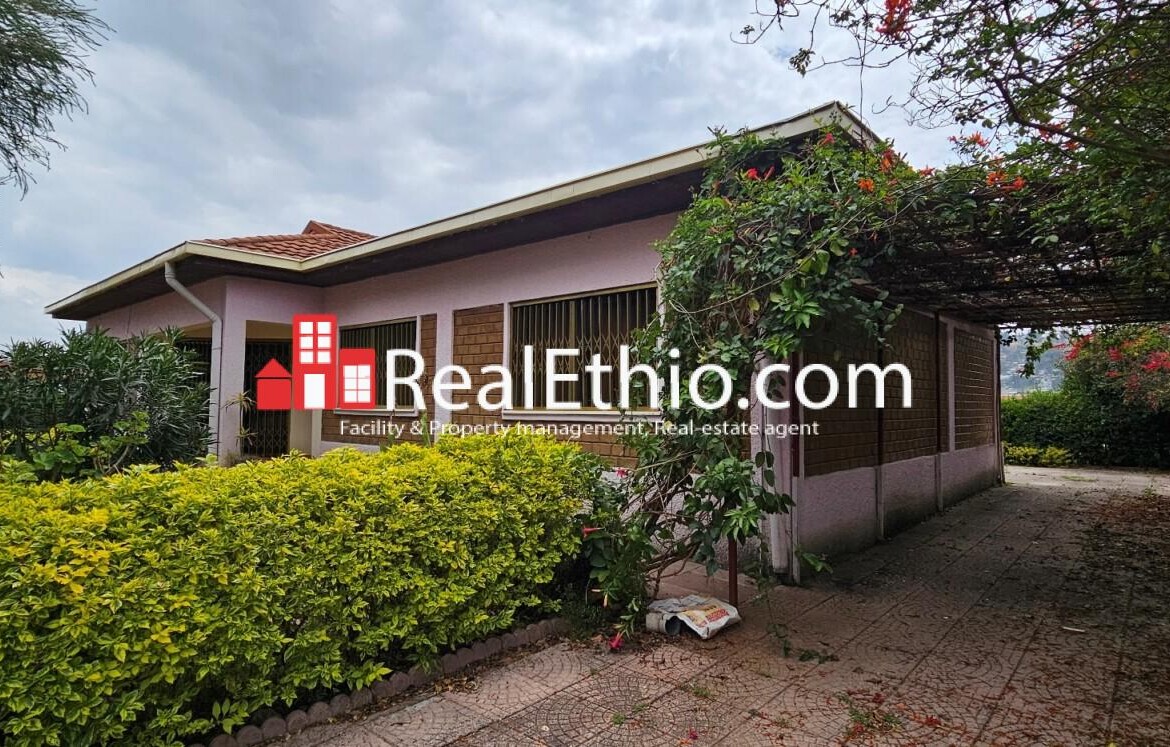 3 Bedrooms furnished Villa House for rent, Legetafo Ropack, Oromia, Ethiopia.