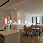 3BR Furnished Apartment for Rent, Bole Near Airport, Addis Ababa, Ethiopia..