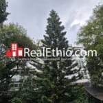 5BR G+1+Basement house or building for sale, Mekanisa Abo, Addis Ababa, Ethiopia.