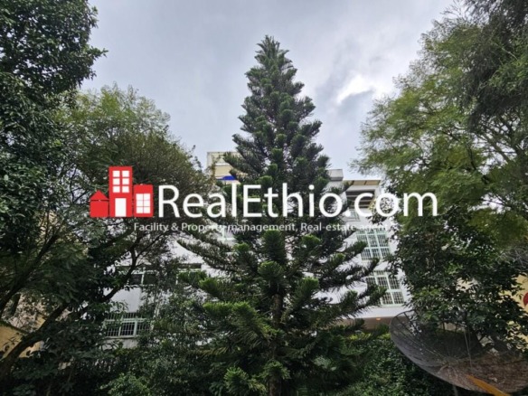5BR G+1+Basement house or building for sale, Mekanisa Abo, Addis Ababa, Ethiopia.