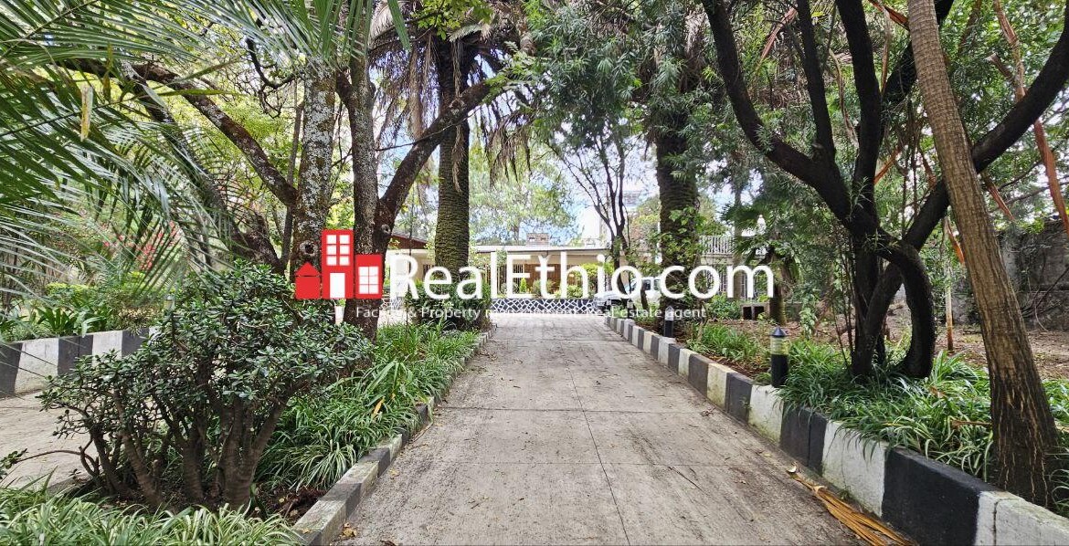 4BR Villa House for Rent, Bole Japan, Addis Ababa, Ethiopia.