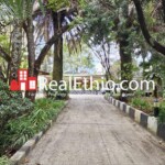 4BR Villa House for Rent, Bole Japan, Addis Ababa, Ethiopia.