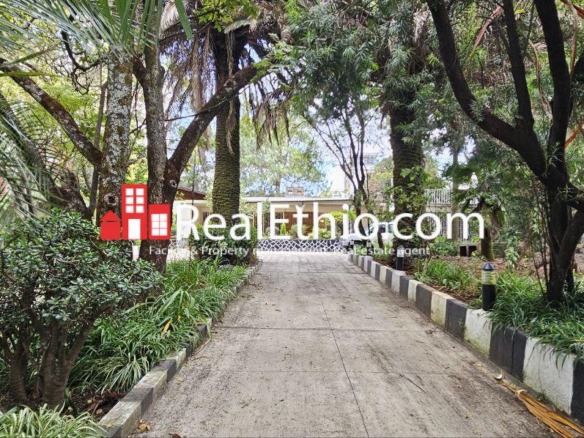 4BR Villa House for Rent, Bole Japan, Addis Ababa, Ethiopia.
