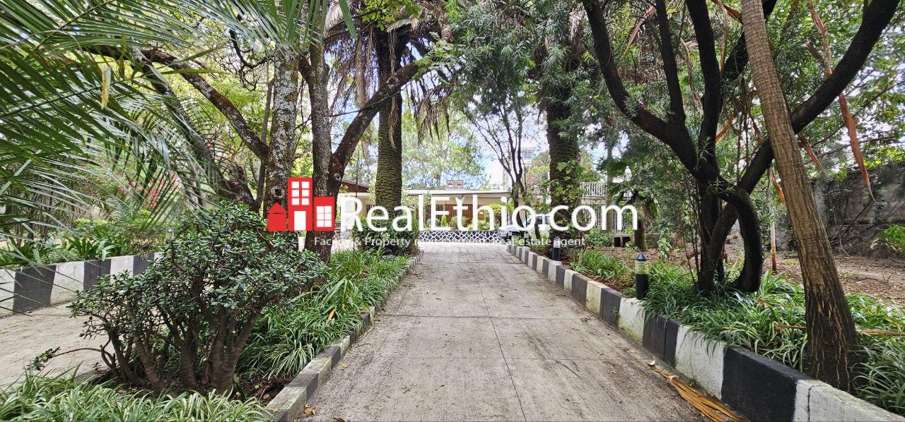 4BR Villa House for Rent, Bole Japan, Addis Ababa, Ethiopia.