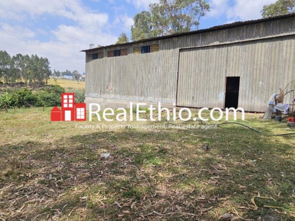Store for Sale, Lebu Haile garment, Addis Ababa, Ethiopia
