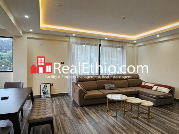 3BR furnished apartment for rent, Kebena, Addis Ababa, Ethiopia.