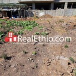 House or Land for Sale, CMC, Addis Ababa, Ethiopia.