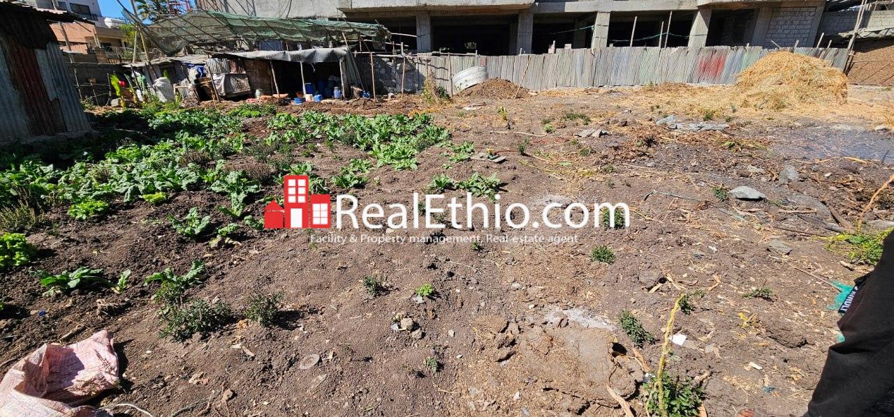 House or Land for Sale, CMC, Addis Ababa, Ethiopia. House or Land for Sale, CMC, Addis Ababa, Ethiopia.
