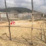 Land for sale, Sebeta, Sheger City, Oromia, Ethiopia.