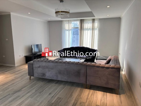 3BR Furnished Apartment for Rent, Kasanchisa Near UN, Addis Ababa, Ethiopia