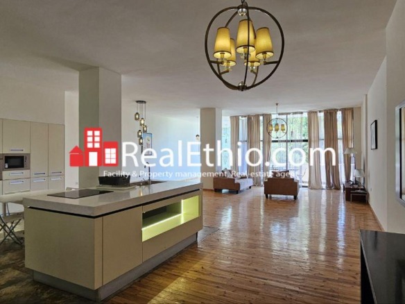 3BR Semi-Furnished Apartment for Rent, Bole Atlas Near EU, Addis Ababa, Ethiopia.