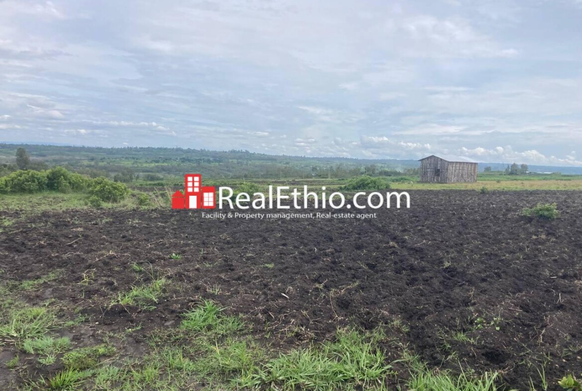 Land for Sale, Weliso, Southern Nations, Nationalities and Peoples Region (SNNPR), Ethiopia