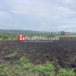 Land for Sale, Weliso, Southern Nations, Nationalities and Peoples Region (SNNPR), Ethiopia