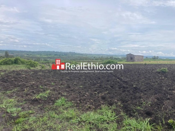 Land for Sale, Weliso, Southern Nations, Nationalities and Peoples Region (SNNPR), Ethiopia