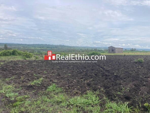 Land for Sale, Weliso, Southern Nations, Nationalities and Peoples Region (SNNPR), Ethiopia