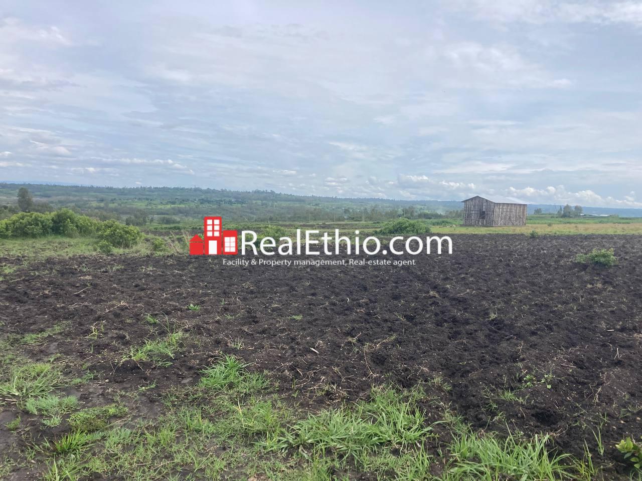 Land for Sale, Weliso, Southern Nations, Nationalities and Peoples Region (SNNPR), Ethiopia