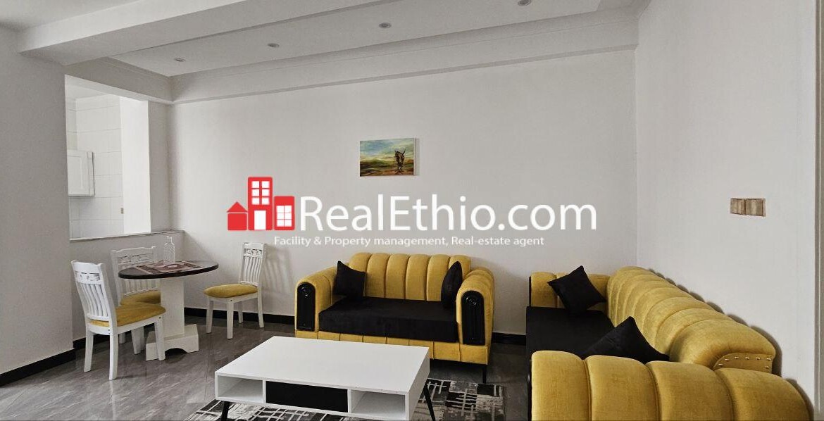 2BR Furnished Apartment for Rent, Megenagna Kokeb building, Addis Ababa, Ethiopia.