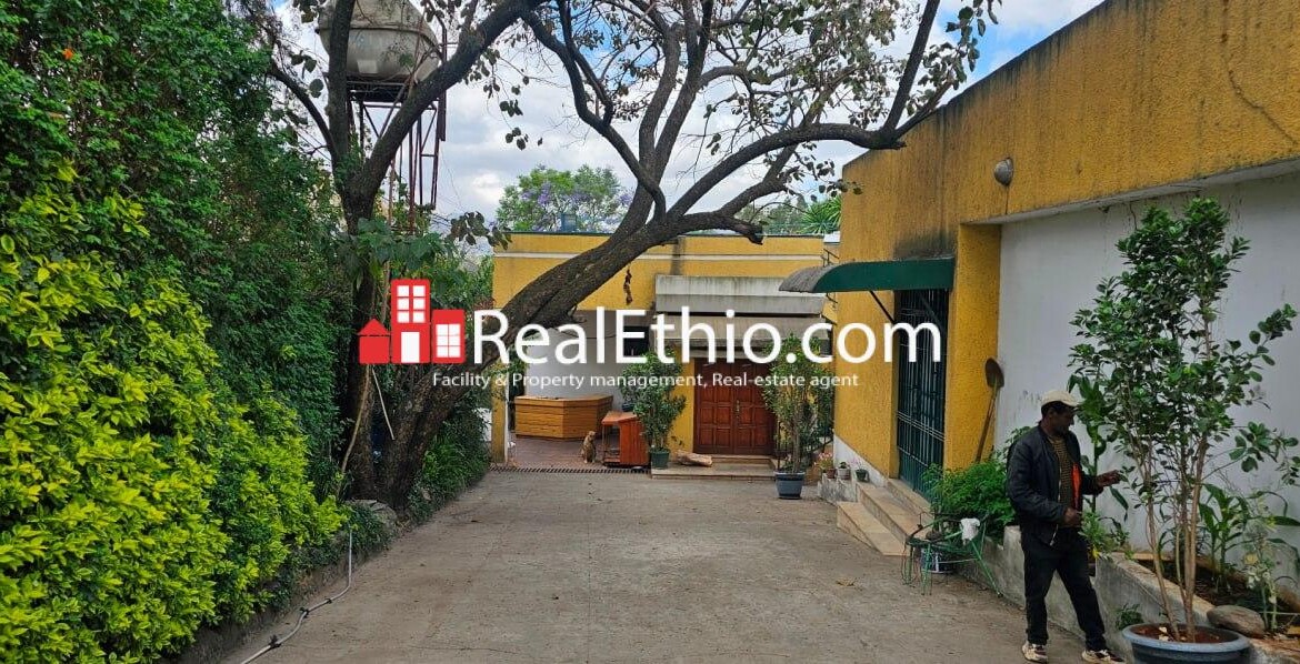 3BR Ground + Basement + Terrace House for Rent, Mekanisa Abo, Addis Ababa, Ethiopia.