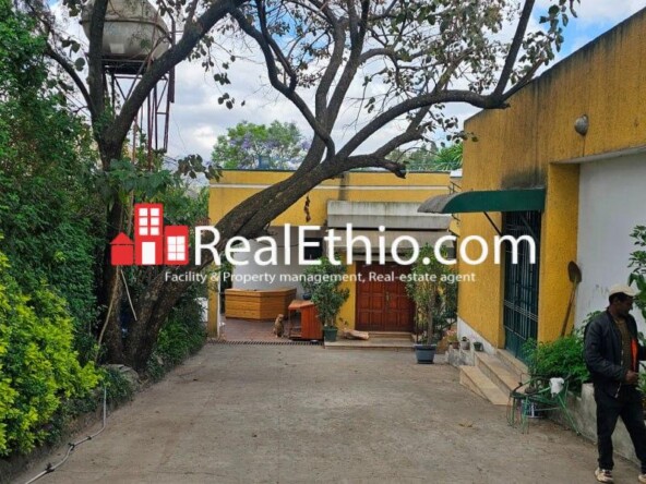 3BR Ground + Basement + Terrace House for Rent, Mekanisa Abo, Addis Ababa, Ethiopia.