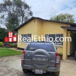 3 BR Villa House for Rent, Old Airport, Addis Ababa, Ethiopia.