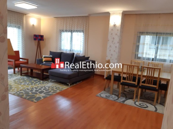 2 BR Furnished Apartment for Rent, Kazanchis near ECA, Addis Ababa, Ethiopia.
