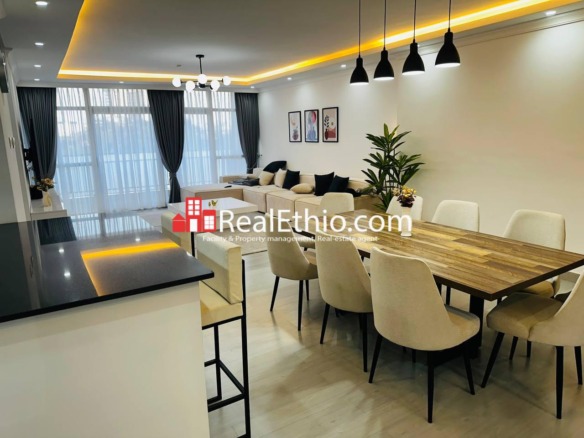 3BR Furnished and Fully Equipped Apartment for Rent, Sarbet Near AU, Addis Ababa, Ethiopia.