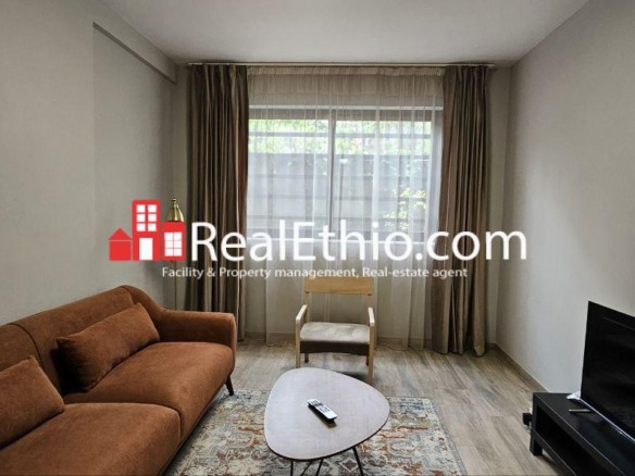 1BR Fully Furnished Apartment for Rent, Bole near Airport, Addis Ababa, Ethiopia.