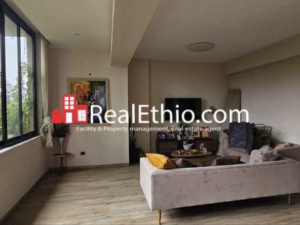 3BR Fully Furnished Apartment for Rent, Bole near Airport, Addis Ababa, Ethiopia.