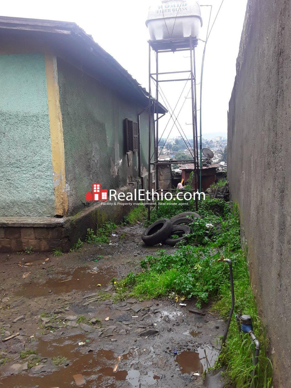 photo_2025-06-23_14-08-21