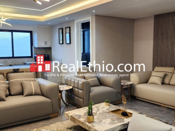 4BR Furnished Penthouse Apartment for Rent, Bole Adey Ababa Stadium, Addis Ababa, Ethiopia.