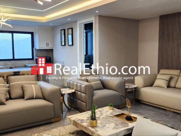 4BR Furnished Penthouse Apartment for Rent, Bole Adey Ababa Stadium, Addis Ababa, Ethiopia.