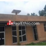 House for Rent, Holeta, Oromia, Ethiopia.
