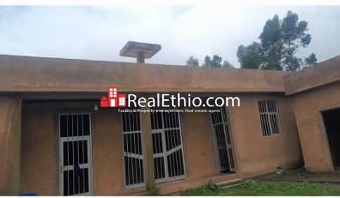 House for Rent, Holeta, Oromia, Ethiopia.