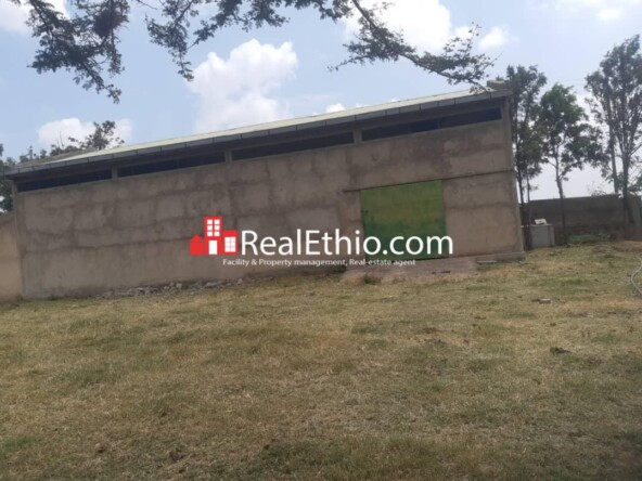 Warehouse or Store or Land for Sale, Adama, Oromia, Ethiopia.