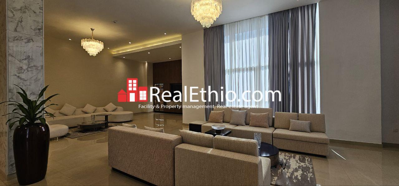 APARTMENT FOR RENT ADDIS ABABA LUXURY RENTAL, SAFE SECURE