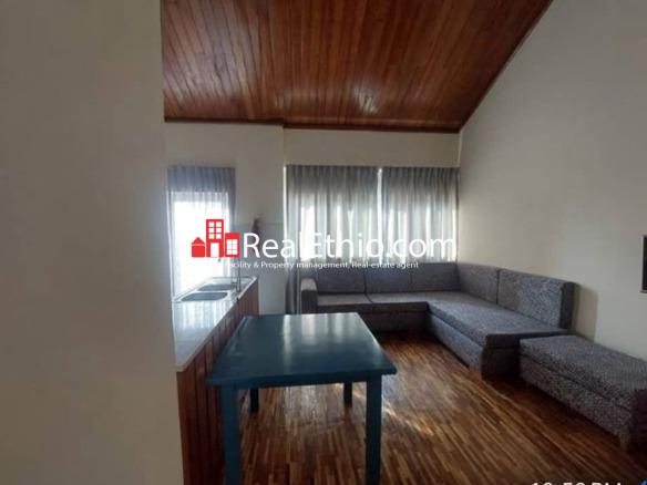 1BR Furnished Apartment for Rent, Bisrate Gebriel, Addis Ababa, Ethiopia.