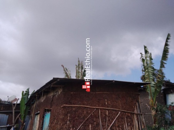 House or Land for sale, Kality Cheralia, Addis Ababa, Ethiopia.
